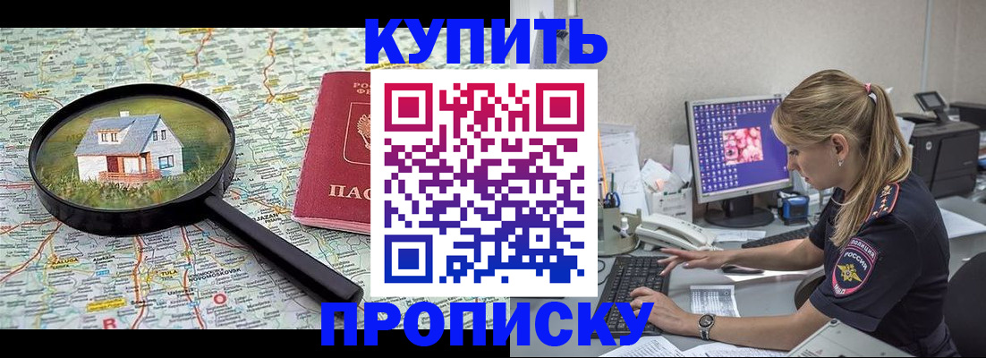 прописка поиск в Болотном